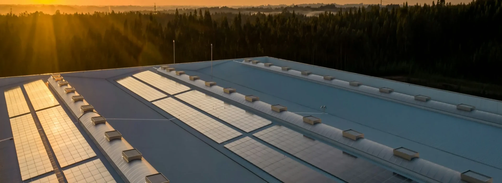 A large industrial solar roof with many panels, and the sun setting behind it in the distance.